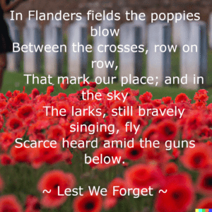 Lest We Forget - poppies 