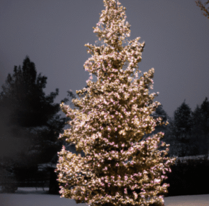 Christmas Tree Decorating